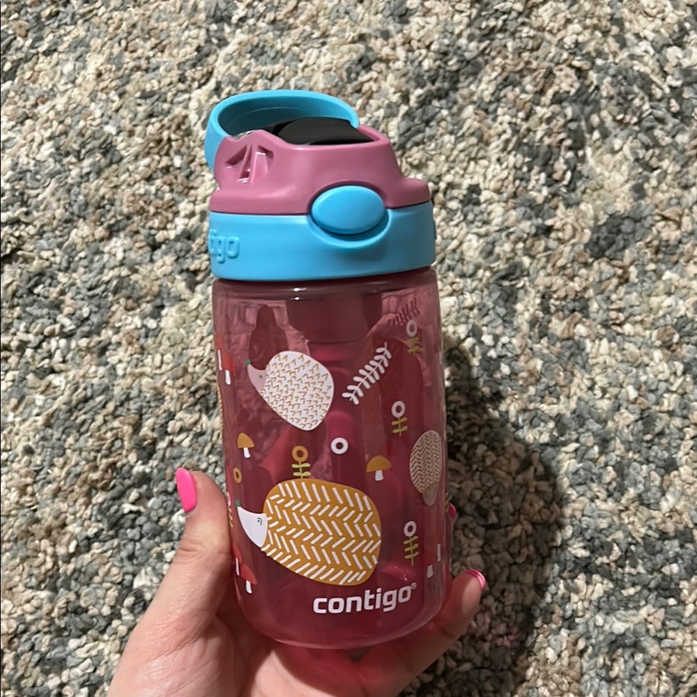 Contigo Pink and Blue Kids Water Bottle